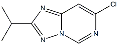 7-CHLORO-2-ISOPROPYL[1,2,4]TRIAZOLO[1,5-C]PYRIMIDINE Struktur