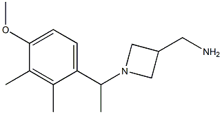 C-{1-[1-(4-METHOXY-2,3-DIMETHYL-PHENYL)-ETHYL]-AZETIDIN-3-YL}-METHYLAMINE Struktur