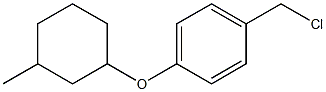 1-(chloromethyl)-4-[(3-methylcyclohexyl)oxy]benzene Struktur