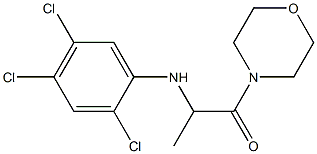 1-(morpholin-4-yl)-2-[(2,4,5-trichlorophenyl)amino]propan-1-one Struktur