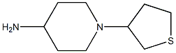 1-(thiolan-3-yl)piperidin-4-amine Struktur