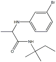 2-[(3-bromophenyl)amino]-N-(2-methylbutan-2-yl)propanamide Struktur