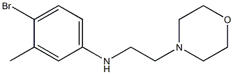 4-bromo-3-methyl-N-[2-(morpholin-4-yl)ethyl]aniline Struktur