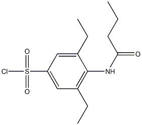 4-butanamido-3,5-diethylbenzene-1-sulfonyl chloride Struktur