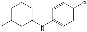 4-chloro-N-(3-methylcyclohexyl)aniline Struktur