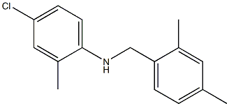 4-chloro-N-[(2,4-dimethylphenyl)methyl]-2-methylaniline Struktur