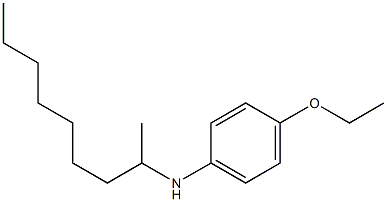 4-ethoxy-N-(nonan-2-yl)aniline Struktur