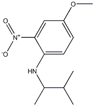 4-methoxy-N-(3-methylbutan-2-yl)-2-nitroaniline Struktur