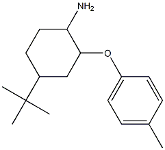 4-tert-butyl-2-(4-methylphenoxy)cyclohexan-1-amine Struktur