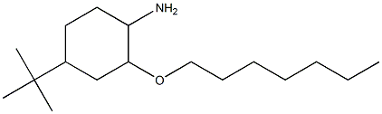 4-tert-butyl-2-(heptyloxy)cyclohexan-1-amine Struktur