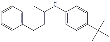 4-tert-butyl-N-(4-phenylbutan-2-yl)aniline Struktur