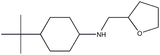 4-tert-butyl-N-(oxolan-2-ylmethyl)cyclohexan-1-amine Struktur