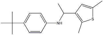 4-tert-butyl-N-[1-(2,5-dimethylthiophen-3-yl)ethyl]aniline Struktur