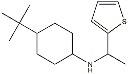 4-tert-butyl-N-[1-(thiophen-2-yl)ethyl]cyclohexan-1-amine Struktur