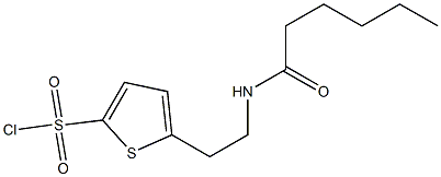 5-(2-hexanamidoethyl)thiophene-2-sulfonyl chloride Struktur