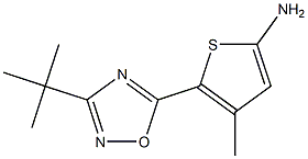 5-(3-tert-butyl-1,2,4-oxadiazol-5-yl)-4-methylthiophen-2-amine Struktur