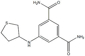 5-(thiolan-3-ylamino)benzene-1,3-dicarboxamide Struktur