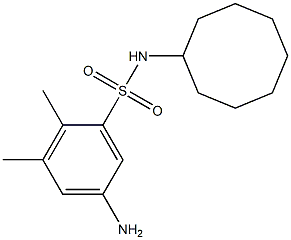 5-amino-N-cyclooctyl-2,3-dimethylbenzene-1-sulfonamide Struktur