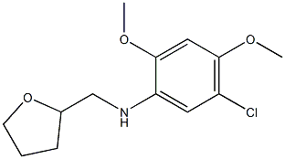 5-chloro-2,4-dimethoxy-N-(oxolan-2-ylmethyl)aniline Struktur