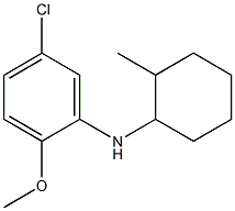 5-chloro-2-methoxy-N-(2-methylcyclohexyl)aniline Struktur