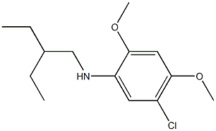 5-chloro-N-(2-ethylbutyl)-2,4-dimethoxyaniline Struktur