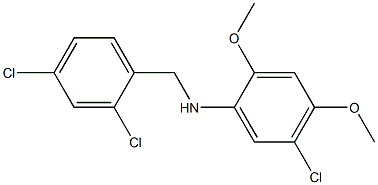 5-chloro-N-[(2,4-dichlorophenyl)methyl]-2,4-dimethoxyaniline Struktur