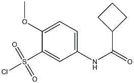 5-cyclobutaneamido-2-methoxybenzene-1-sulfonyl chloride Struktur