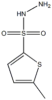 5-methylthiophene-2-sulfonohydrazide Struktur