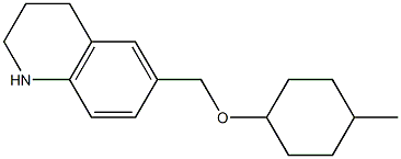 6-{[(4-methylcyclohexyl)oxy]methyl}-1,2,3,4-tetrahydroquinoline Struktur