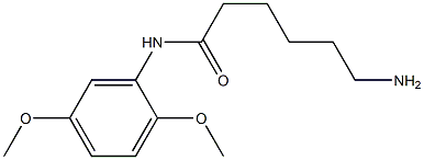 6-amino-N-(2,5-dimethoxyphenyl)hexanamide Struktur