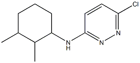 6-chloro-N-(2,3-dimethylcyclohexyl)pyridazin-3-amine Struktur