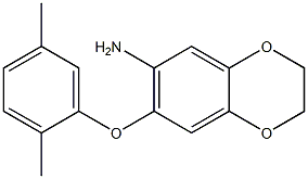 7-(2,5-dimethylphenoxy)-2,3-dihydro-1,4-benzodioxin-6-amine Struktur