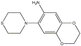 7-(thiomorpholin-4-yl)-2,3-dihydro-1,4-benzodioxin-6-amine Struktur