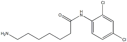 7-amino-N-(2,4-dichlorophenyl)heptanamide Struktur