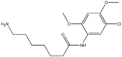 7-amino-N-(5-chloro-2,4-dimethoxyphenyl)heptanamide Struktur