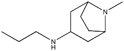 8-methyl-N-propyl-8-azabicyclo[3.2.1]octan-3-amine Struktur