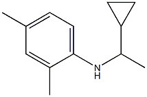 N-(1-cyclopropylethyl)-2,4-dimethylaniline Struktur