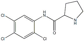 N-(2,4,5-trichlorophenyl)pyrrolidine-2-carboxamide Struktur