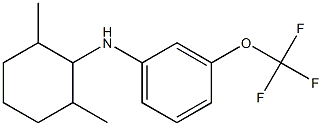 N-(2,6-dimethylcyclohexyl)-3-(trifluoromethoxy)aniline Struktur