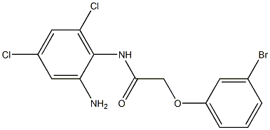 N-(2-amino-4,6-dichlorophenyl)-2-(3-bromophenoxy)acetamide Struktur