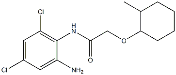 N-(2-amino-4,6-dichlorophenyl)-2-[(2-methylcyclohexyl)oxy]acetamide Struktur