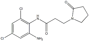 N-(2-amino-4,6-dichlorophenyl)-3-(2-oxopyrrolidin-1-yl)propanamide Struktur