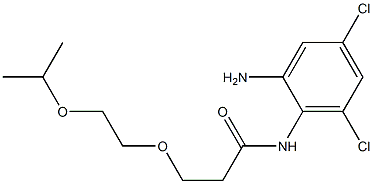 N-(2-amino-4,6-dichlorophenyl)-3-[2-(propan-2-yloxy)ethoxy]propanamide Struktur