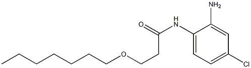 N-(2-amino-4-chlorophenyl)-3-(heptyloxy)propanamide Struktur