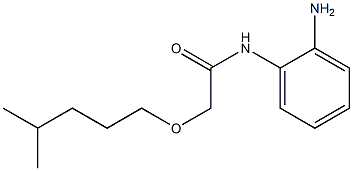 N-(2-aminophenyl)-2-[(4-methylpentyl)oxy]acetamide Struktur