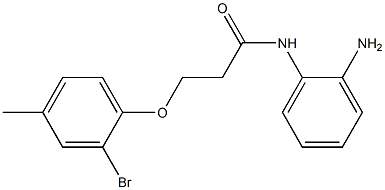 N-(2-aminophenyl)-3-(2-bromo-4-methylphenoxy)propanamide Struktur