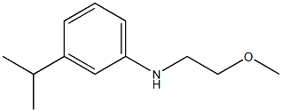 N-(2-methoxyethyl)-3-(propan-2-yl)aniline Struktur