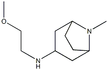 N-(2-methoxyethyl)-8-methyl-8-azabicyclo[3.2.1]octan-3-amine Struktur