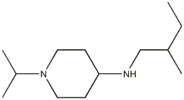 N-(2-methylbutyl)-1-(propan-2-yl)piperidin-4-amine Struktur