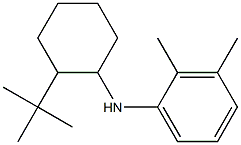 N-(2-tert-butylcyclohexyl)-2,3-dimethylaniline Struktur